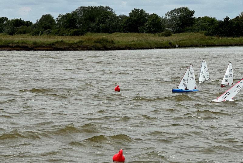 DF95 Conningbrook Lakes Spring Series at East Kent Radio SC photo copyright Mike Brand taken at East Kent Radio Sailing Club and featuring the DF95 class