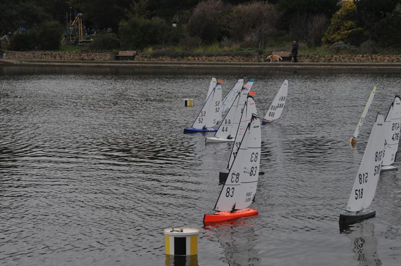 DF95 Met and Southern Travellers Series final event at Eastbourne photo copyright Terry Connell taken at Eastbourne & District Model Yacht Club and featuring the DF95 class