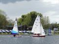 Dinghy sailing at SESCA © Mike Steele