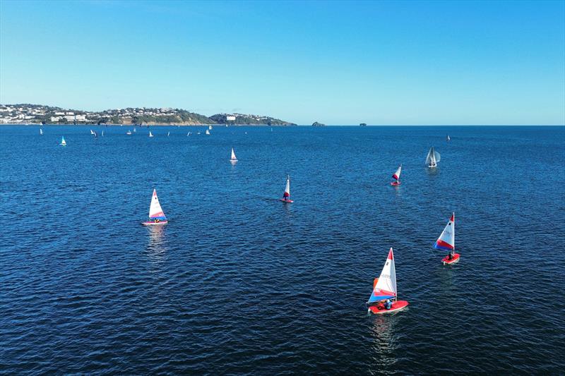 Christmas Cracker pursuit at Paignton - photo © Roger Phillips
