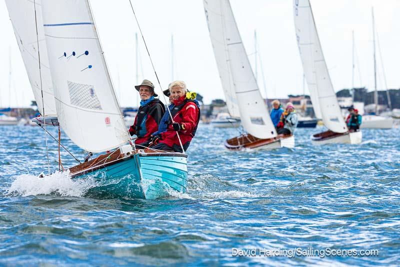 Poole Week 2025 Day 6 photo copyright David Harding / www.sailingscenes.com taken at Parkstone Yacht Club and featuring the Dolphin class