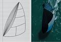 Structured Luff sails started as a rough design concept and two year later won the Maxi 72 Europeans &copy; Doyle Sails