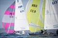 2025 Yanmar Dragon Gold Cup at Douarnenez © Manon Le Guen / Yanmar Dragon Gold Cup 2025 / Société des Régates de Douarnenez