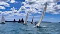 2025 E 5.9 Traveller's Trophy Sandspit - October 2025 &copy; E5.9 Assoc