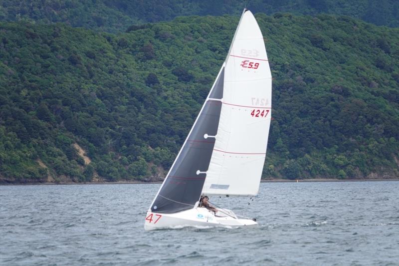 2023 Elliott 5.9 Nationals - Queen Charlotte Yacht Club - photo © Elliott 5.9 Assoc