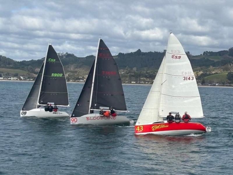 2025 E 5.9 Traveller's Trophy 0 Whitianga and Buffalo Beach - Coromandel - August 2025 - photo © E5.9 Assoc