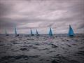 Enterprise Scottish Bluebell Series and Scottish Masters at Largo Bay Sailing Club &copy; Kevin Klein