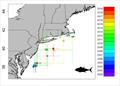 © NOAA Fisheries
