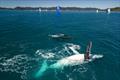 Whales come out to play with the fleet at Airlie Beach Race Week &copy; Andrea Francolini / ABRW