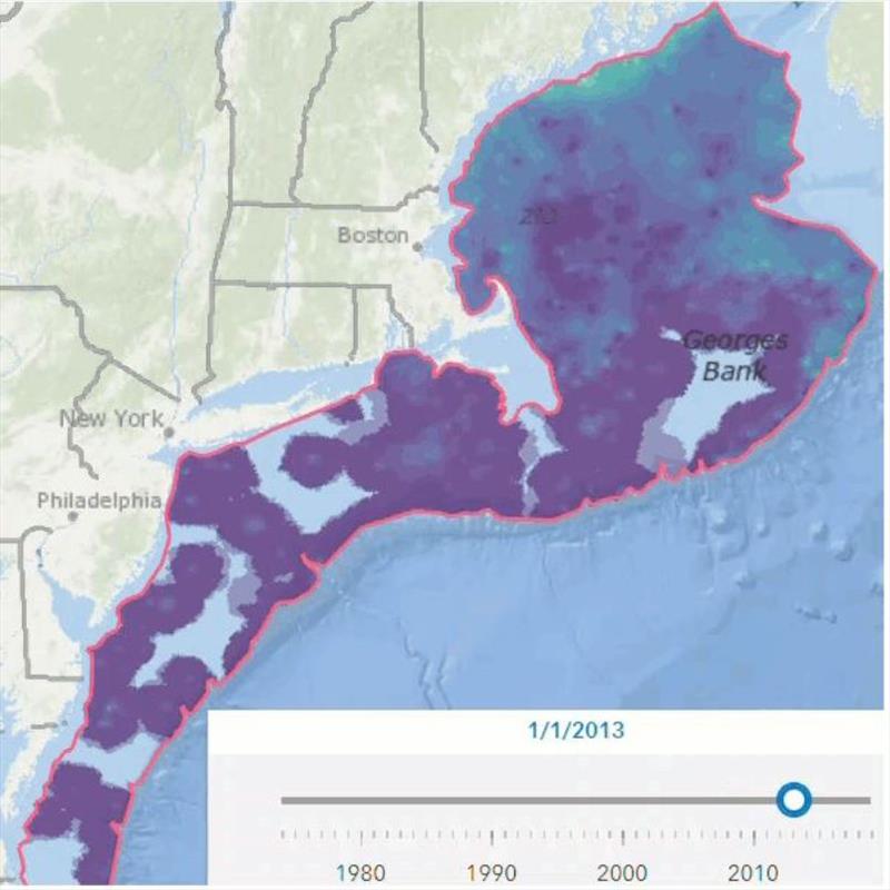 A visualization of the annual predicted biomass distribution for American lobster since 1974. The American lobster's distribution moved 122 miles north between 1974 and 2019. - photo © NOAA Fisheries