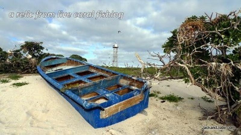 A relic from live coral fishing. - photo © Jack and Jude