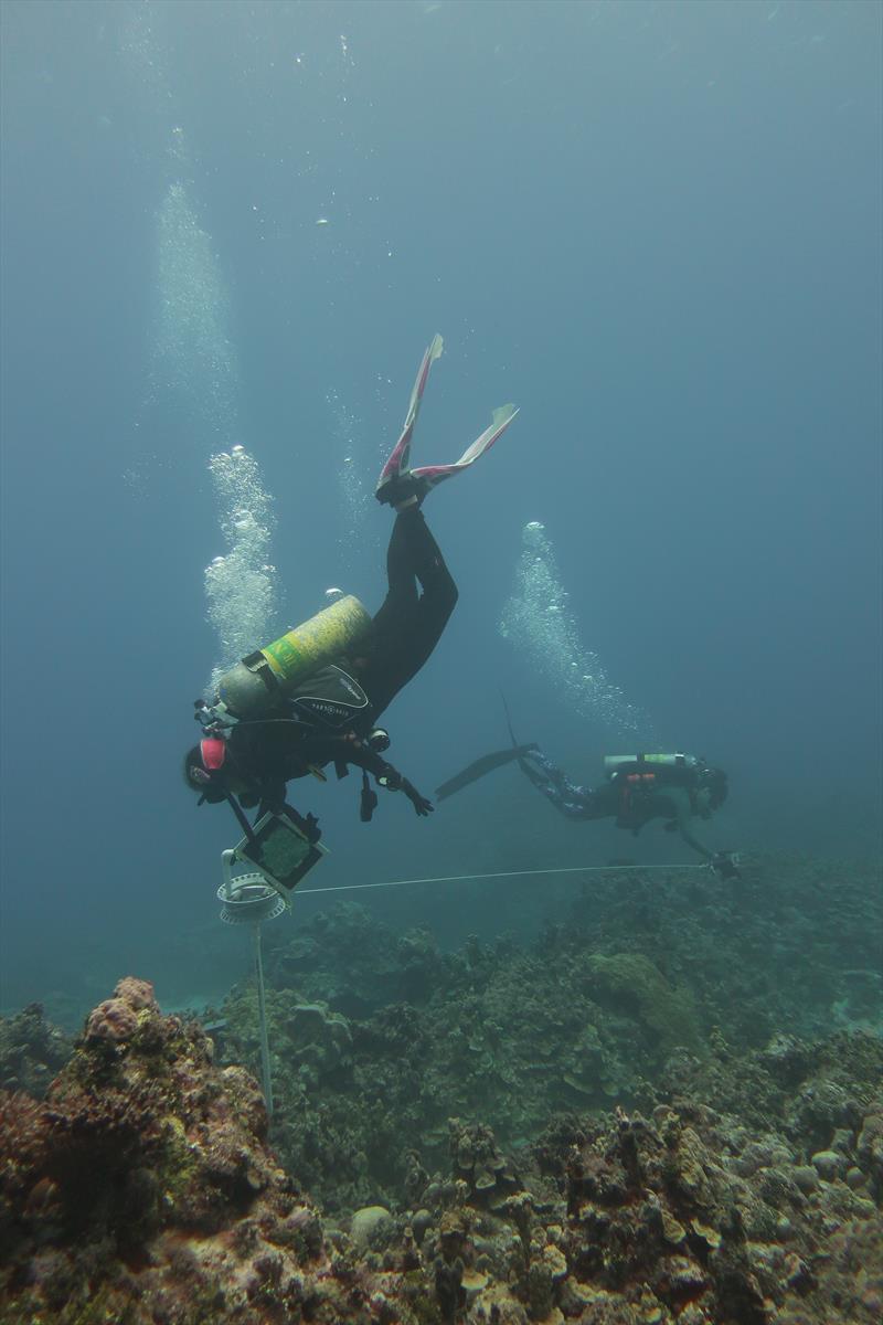 Divers swim in concentric circles collecting images of the reef that they will stitch together later to form a three-dimensional model. - photo © NOAA Fisheries / K. Urquhart