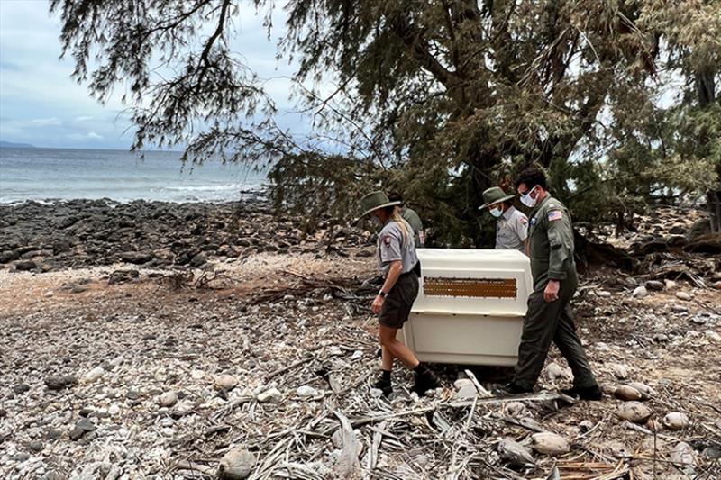 Members of the National Park Service and the U.S. Coast Guard carry RP92 to the beach for release. - photo © NOAA Fisheries (Permit #18786)