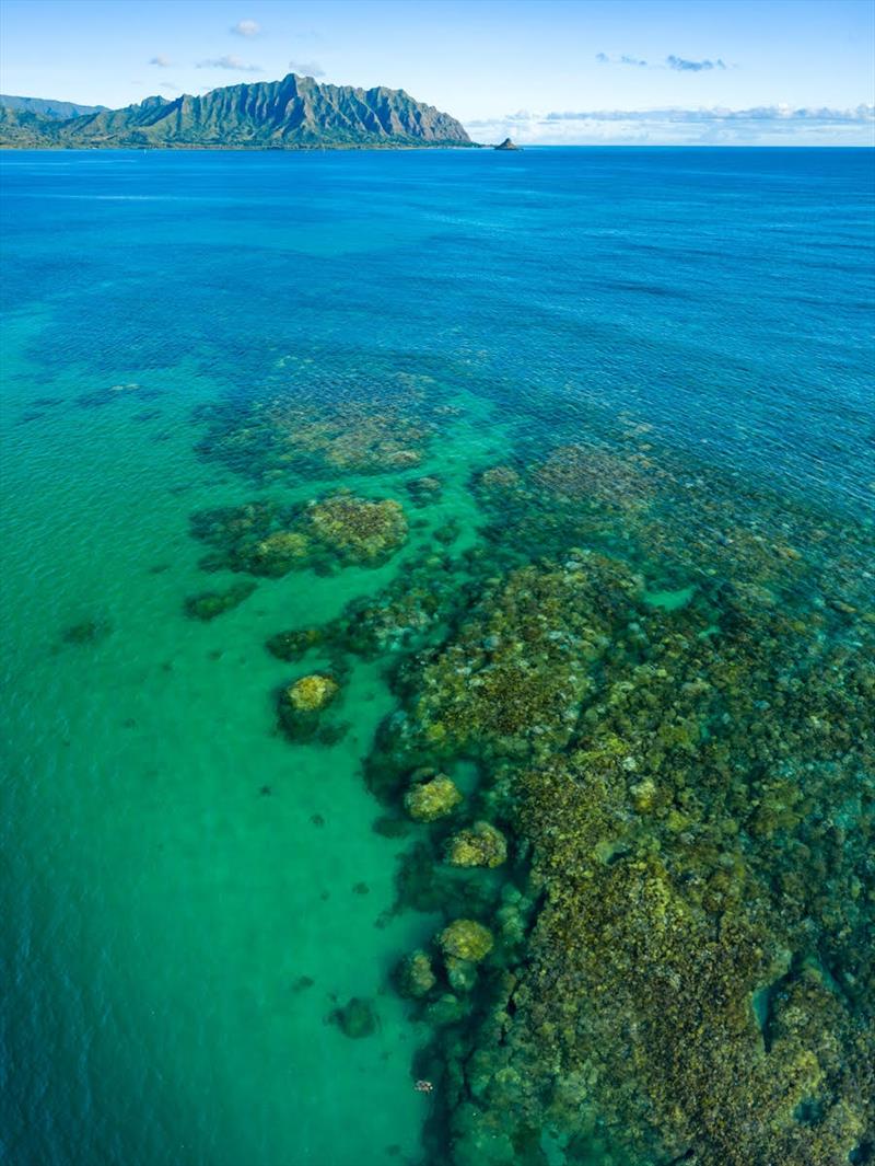 An aerial view of Kane?ohe Bay's network of patch reefs taken during the 2019 bleaching event - photo © Chuck Babbit Photography