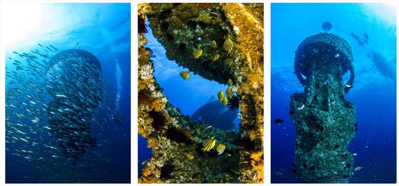 The reef was opened to the public and is already home to thriving subtropical marine life, including giant Queensland grouper, painted crayfish, octopus and lionfish photo copyright Destination Gold Coast taken at  and featuring the Environment class