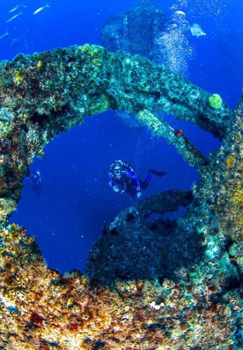 The reef is a world first floating fusion of art, science, and engineering photo copyright Destination Gold Coast taken at  and featuring the Environment class