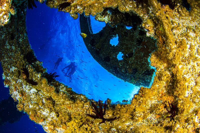 Wonder Reef creates 32,000sqm of habitat and includes coral fragments from six species photo copyright Destination Gold Coast taken at  and featuring the Environment class