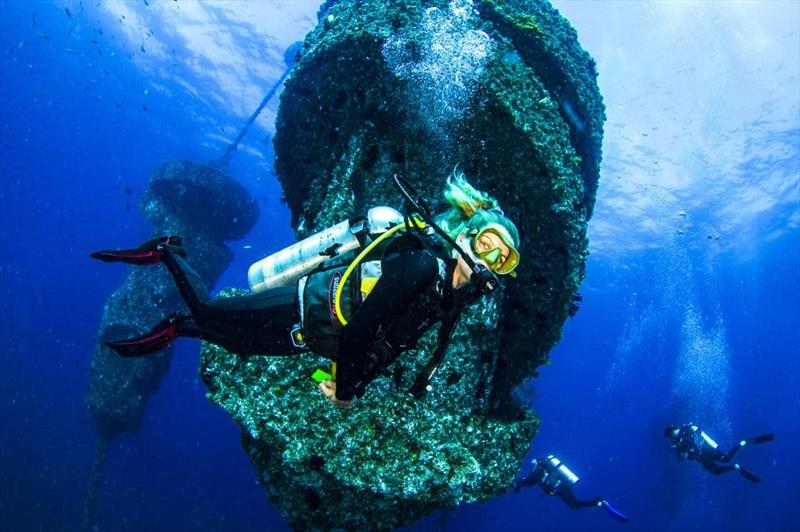 The reef is a world first floating fusion of art, science, and engineering photo copyright Destination Gold Coast taken at  and featuring the Environment class