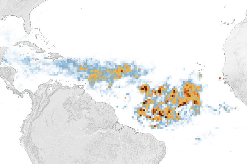 A massive seaweed bloom in the Great Atlantic Sargassum Belt - photo © NASA Earth Observatory