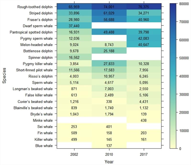 Heat map showing the point estimates of pelagic abundance in the Hawai‘i EEZ for 23 cetacean species during HICEAS 2002, 2010, and 2017. The species are listed in order of highest (blue shading) to lowest (yellow shading) average abundance - photo © NOAA Fisheries