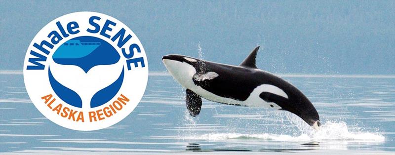 Alaskan Whale - photo © NOAA Fisheries