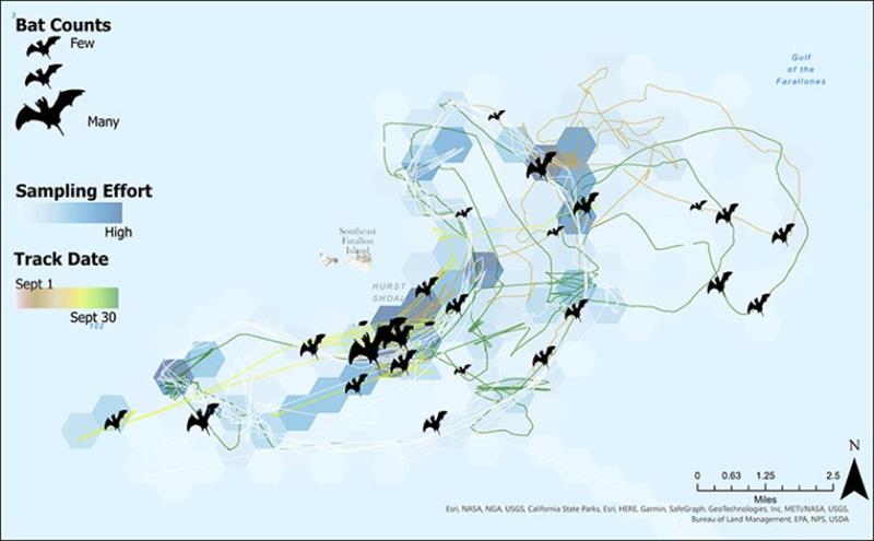 A graphic showing the saildrone's mission track around the Farallon Islands and the rough location and density of the bats it recorded - photo © Bat Conservation International