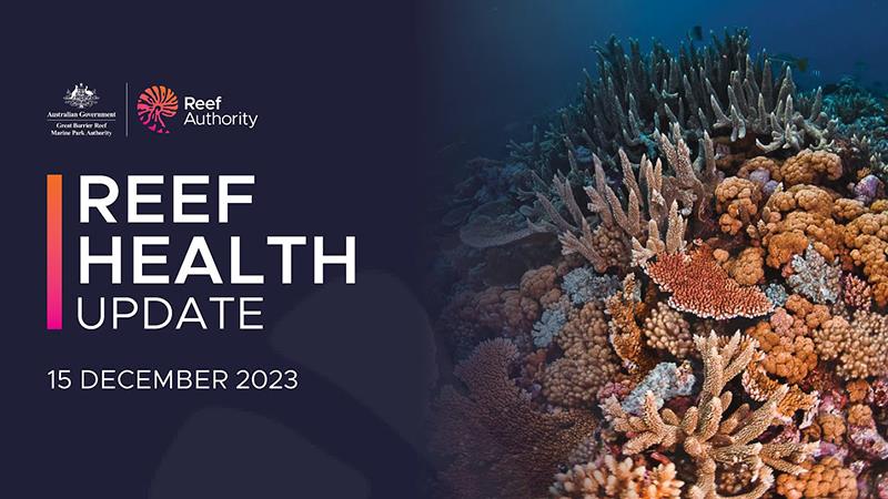 Reef Week Great Barrier Reef health - Week ending December 15 2023