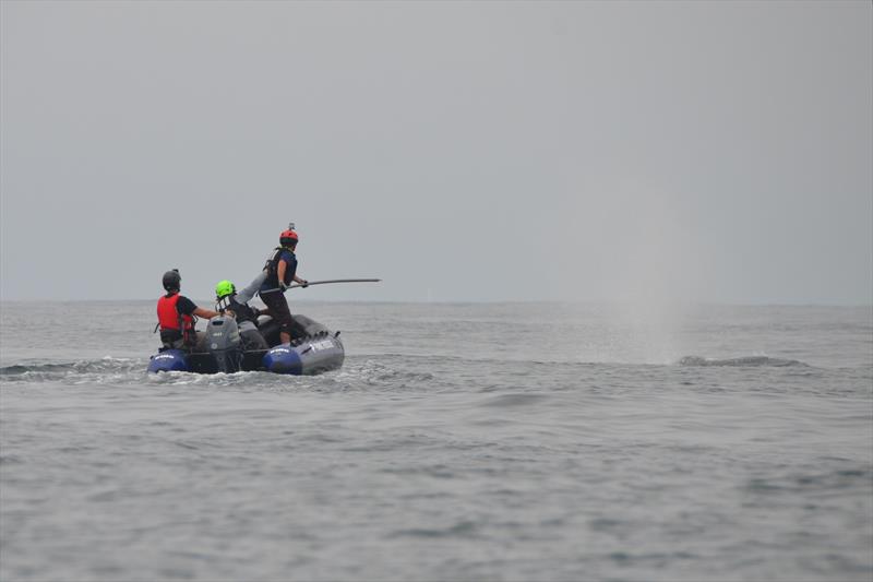 A NOAA Fisheries-led large whale entanglement response team approaches the entangled humpback with a specialized knife on the end of a carbon fiber pole to cut the fishing gear wrapped around the whale's tail. Photo taken under NOAA MMHSRP Permit #24359 - photo © NOAA Fisheries