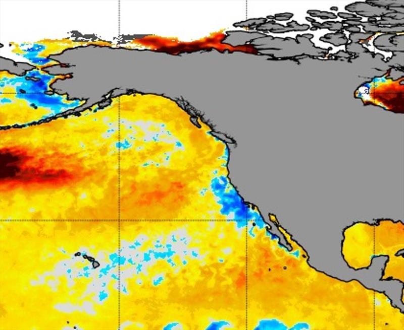 Blue streaks off the California Coast reflect the upwelling of colder than usual waters that carry nutrients feeding the harmful algal bloom - photo © NOAA Office of Satellite and Product Operations
