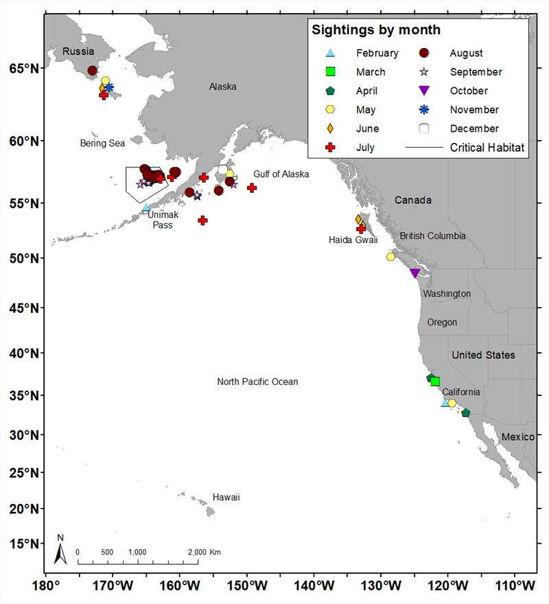 All contemporary (2006 to 2023) sightings of eastern North Pacific right whales color coded by month - photo © NOAA Fisheries