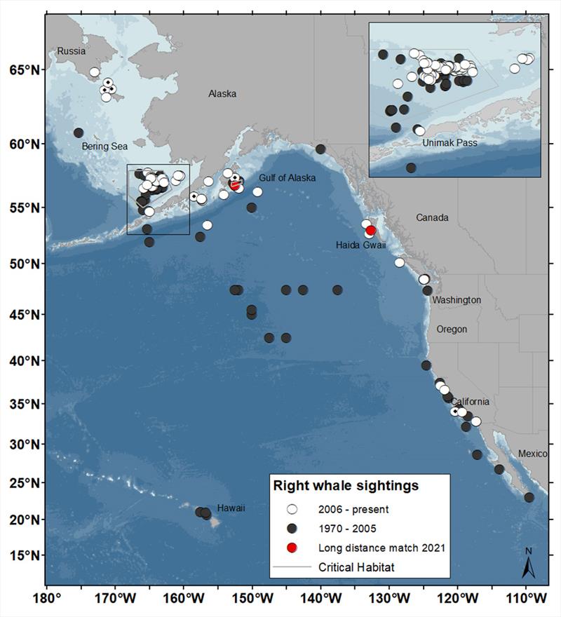 All eastern North Pacific right whale sightings from 2006 to 2023 (white circles), and from 1970 through 2005 (dark gray circles). Red circle indicates a long-distance match from 2021 - photo © NOAA Fisheries
