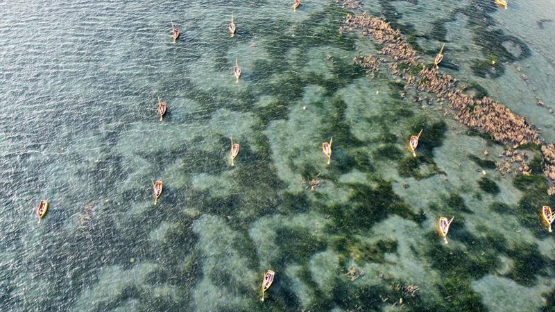 Seagrass meadow scars at Seaview, Isle of Wight - photo © Anouska Mendzil, Project Seagrass