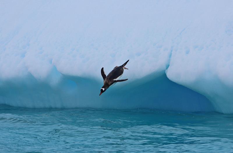 VV Environment Penguin Jump - photo © Vuelta Vertical