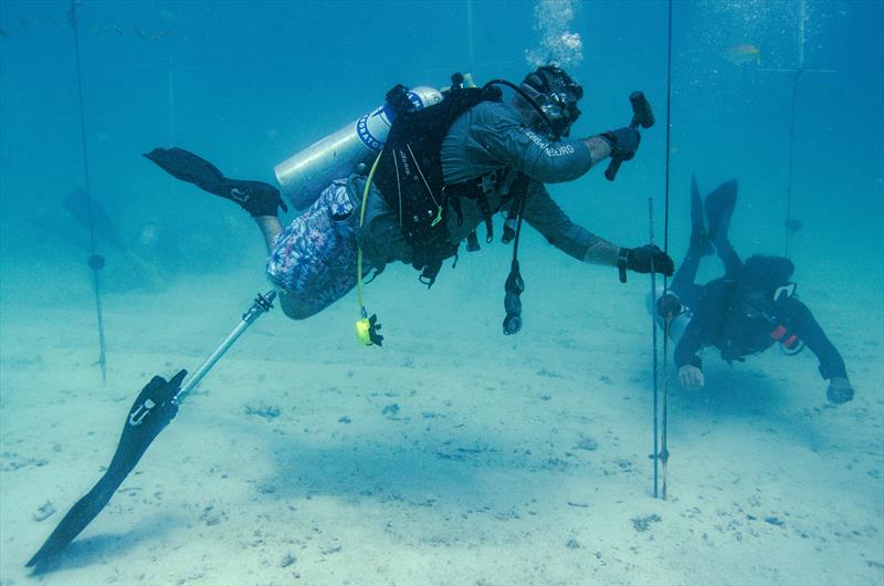 Mote Marine Laboratory collaborates with combat wounded veterans and students to advance coral reef restoration and research - photo © Kathryn Gentile