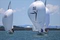 Brisbane Etchells Fleet Championships &copy; Bradley Ginnivan