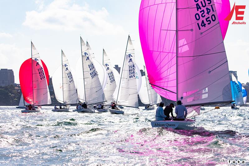 Spectacle in Sydney  - Etchells NSW Championship photo copyright Nic Douglass / www.AdventuresofaSailorGirl.com taken at Royal Sydney Yacht Squadron and featuring the Etchells class