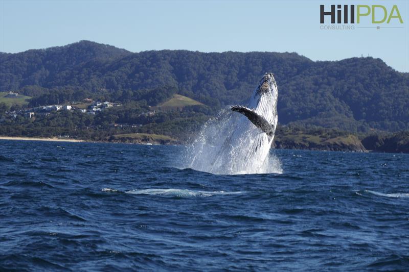 Etchells 2023 Coffs Harbour Championship - photo © Ethan Broderick Photography