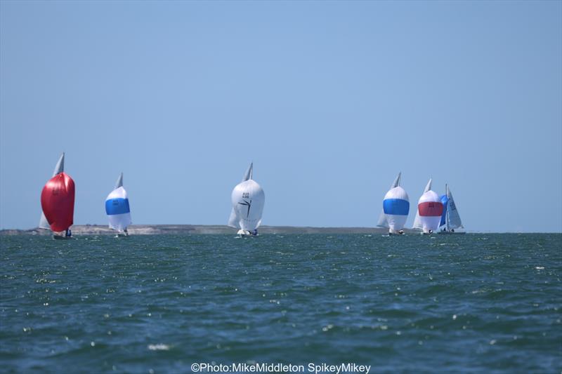 Brisbane Etchells Fleet Championship photo copyright Mike Middleton Spikey Mikey taken at Royal Queensland Yacht Squadron and featuring the Etchells class