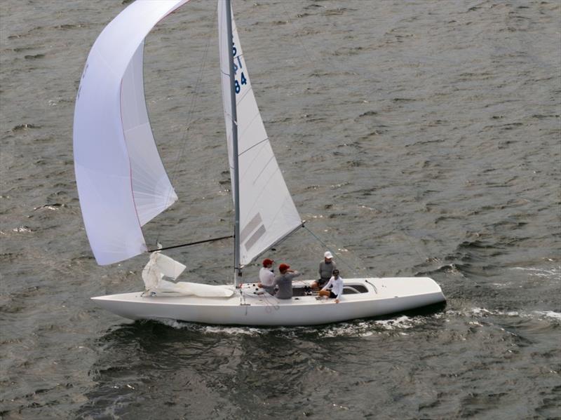 Martin Hill's past winner Lisa Rose - photo © Hippodrone