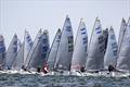 © Robert Deaves Start yellow group - Finn World Masters, Day 2 © Robert Deaves