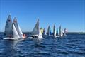 Fireball Open Championship at Lough Ree © Donal Herraghty