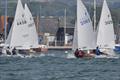 Firefly open meeting at Dell Quay © John Roberson 