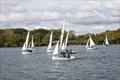 Firefly open meeting at Dell Quay © John Roberson 
