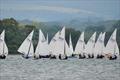 Firefly open meeting at Dell Quay © John Roberson 