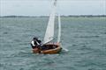 Firefly Itchenor Burgee 2026 &copy; Frances Davison