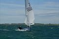 Firefly Itchenor Burgee 2026 &copy; Frances Davison