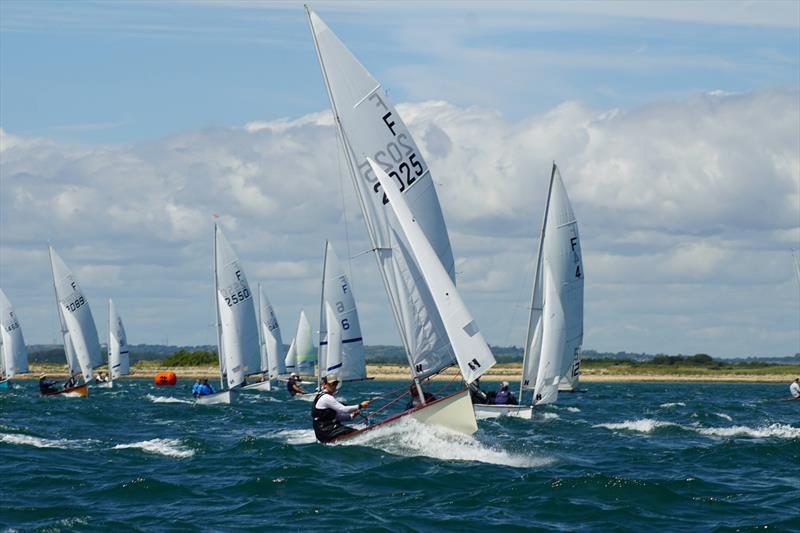 Firefly Itchenor Burgee 2026 photo copyright Frances Davison taken at Itchenor Sailing Club and featuring the Firefly class