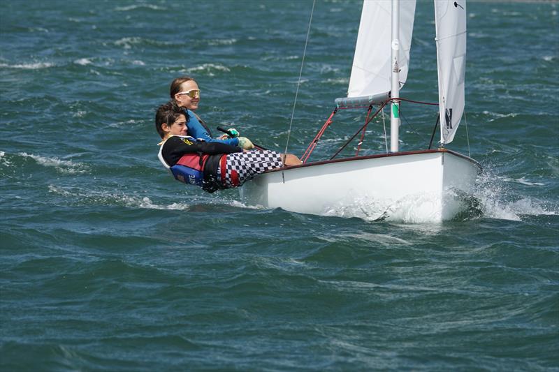 Firefly Itchenor Burgee 2026 - photo © Frances Davison