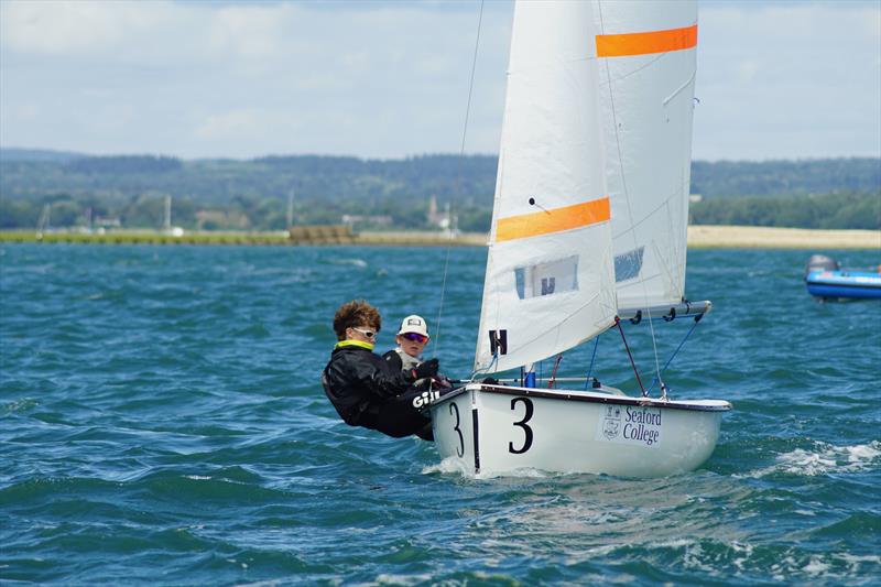Firefly Itchenor Burgee 2026 - photo © Frances Davison