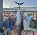 Crew on board an Invincible 46' cat land an 884 pound Atlantic Bluefin tuna - a Texas record © Catillac